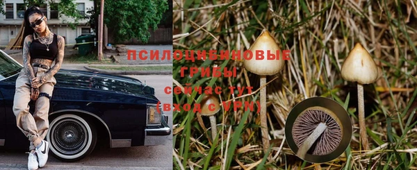 стафф Горняк
