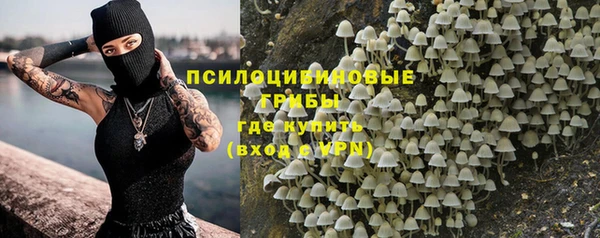 стафф Горняк