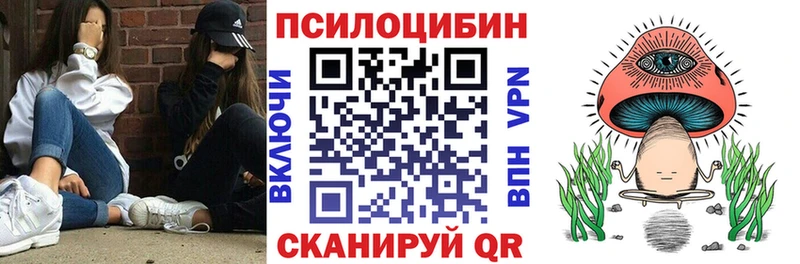 Псилоцибиновые грибы GOLDEN TEACHER  как найти наркотики  Егорьевск 